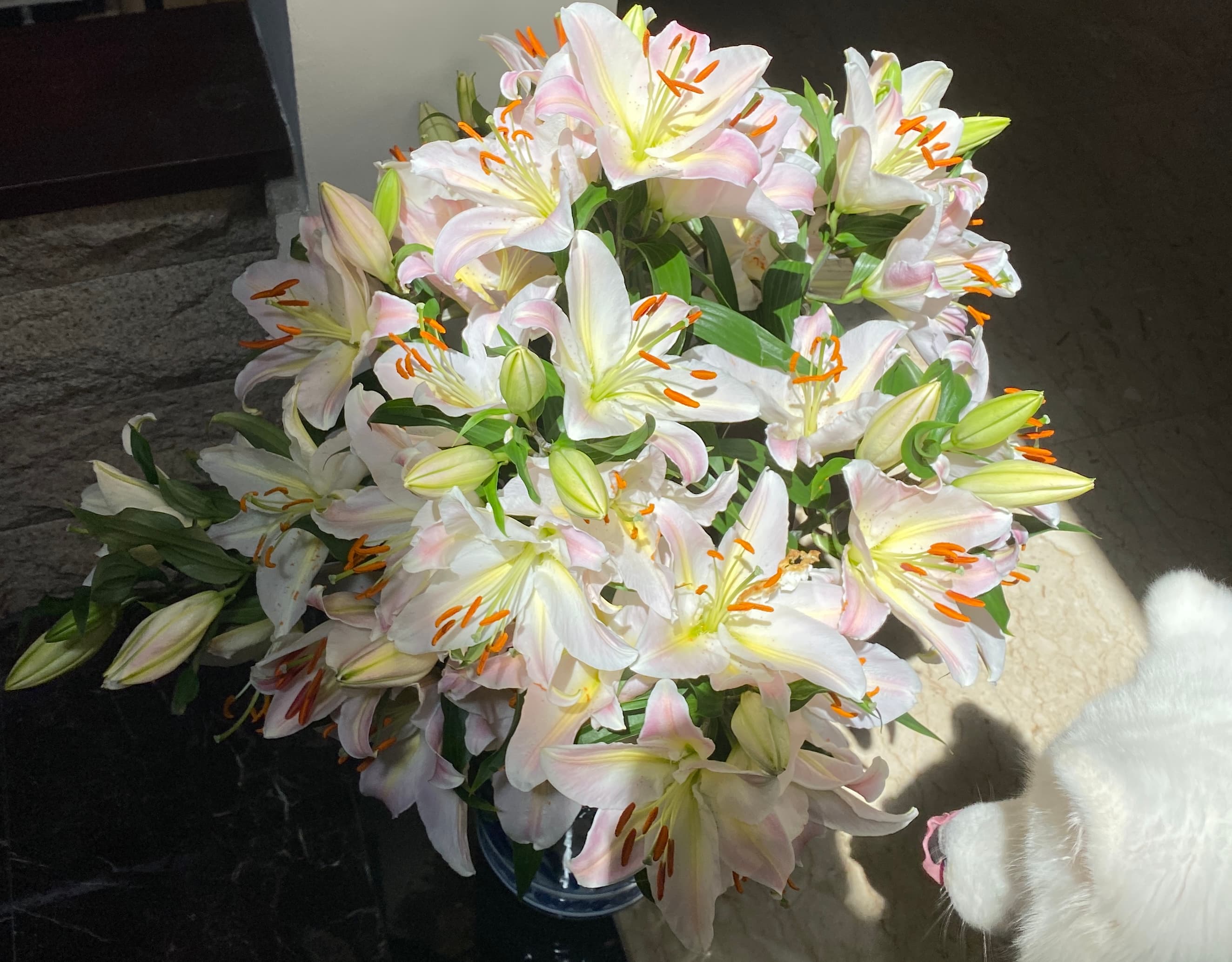 Office arrangements